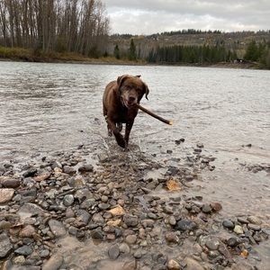 Meet your Posher, Victoria